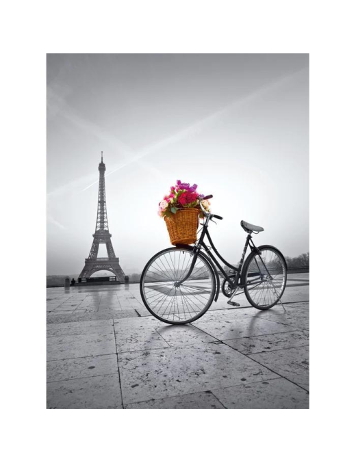 PUZZLE  500 PEZZI. ROMANTIC IN PARIS