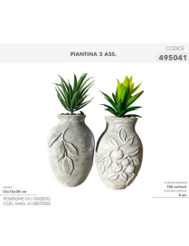 PIANTINA GRASSA 12x28cm 495041