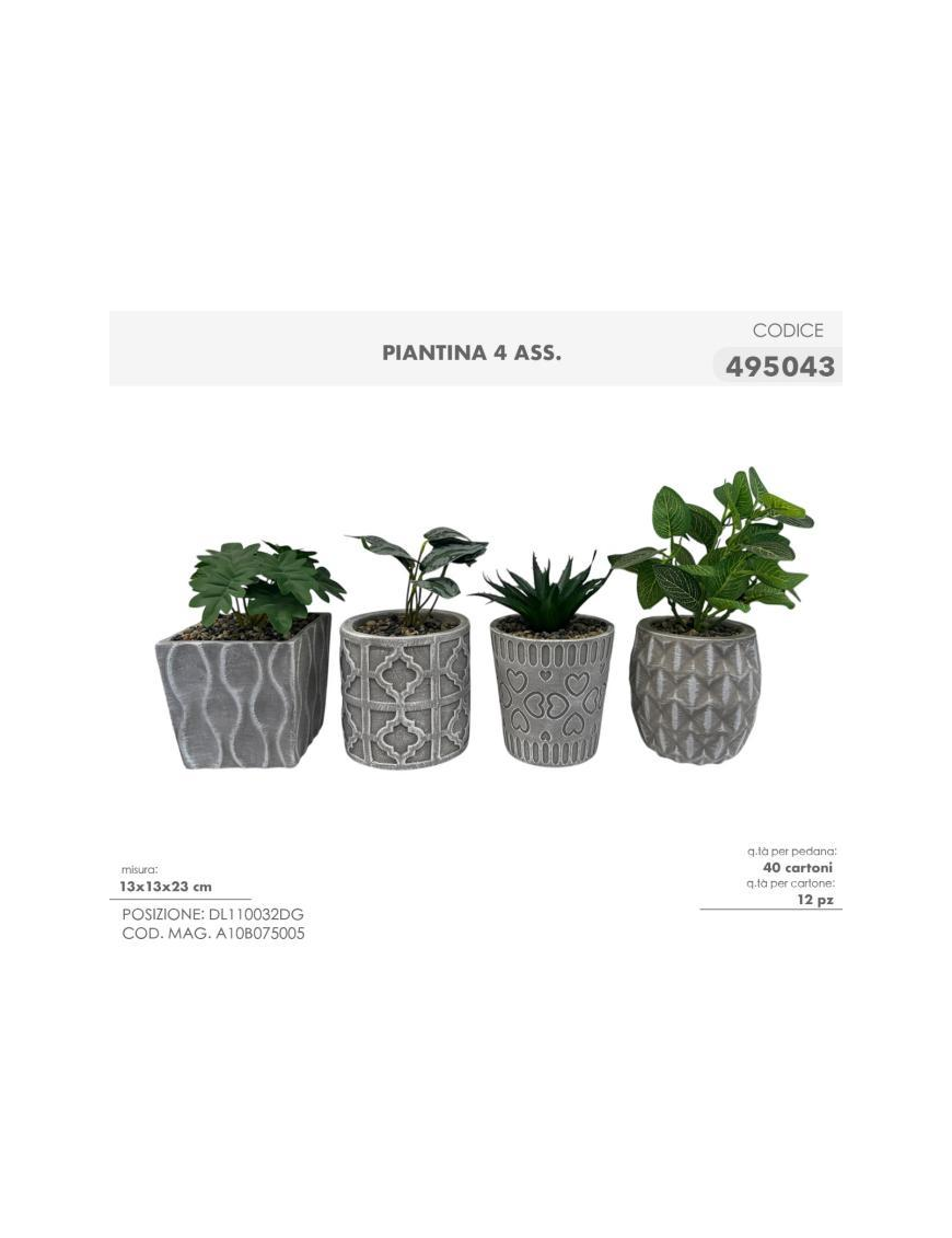 PIANTINA GRASSA 13x23cm 495043