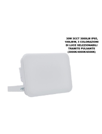 L.LED FLOODLIGHT  30W 3000lm LD703