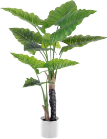 PIANTA G. TROPICAL POINT 120cm 62779