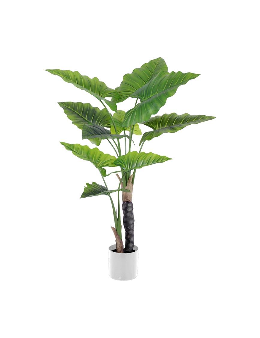 PIANTA G. TROPICAL POINT 120cm 62779