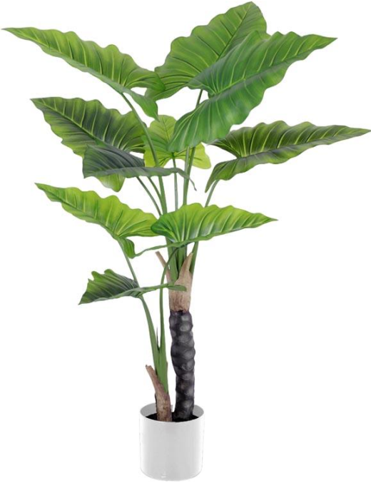 PIANTA G. TROPICAL POINT 120cm 62779