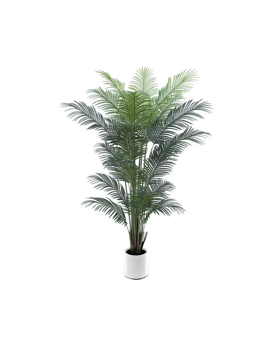 PIANTA GR. PALMA REAL 210cm 62781