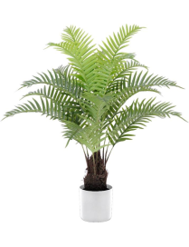 PIANTA G. PALMA NATURAL 110cm 62782