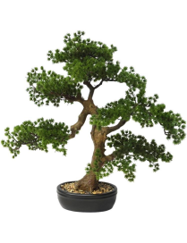 PIANTA G. BONSAI PEACEFUL 60cm 62786
