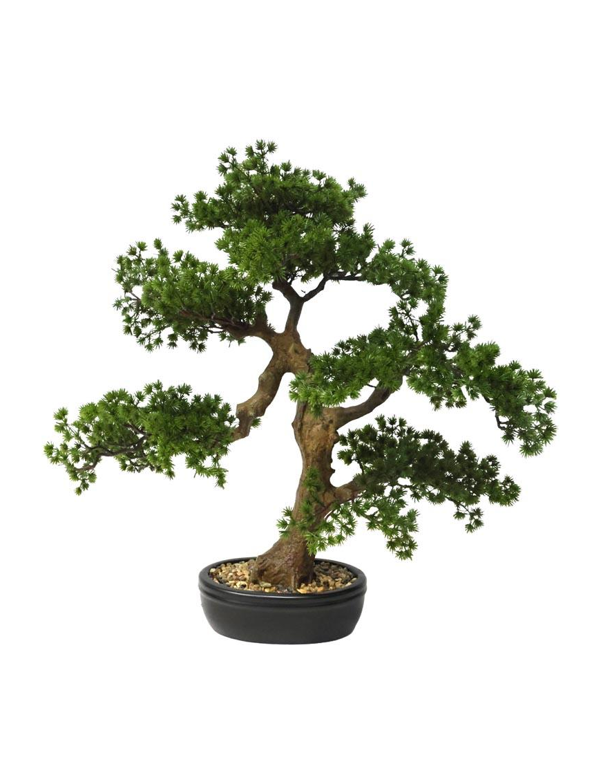 PIANTA G. BONSAI PEACEFUL 60cm 62786