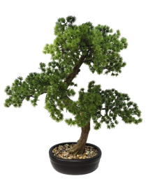 PIANTA G. BONSAI PEACEFUL 49cm 62787