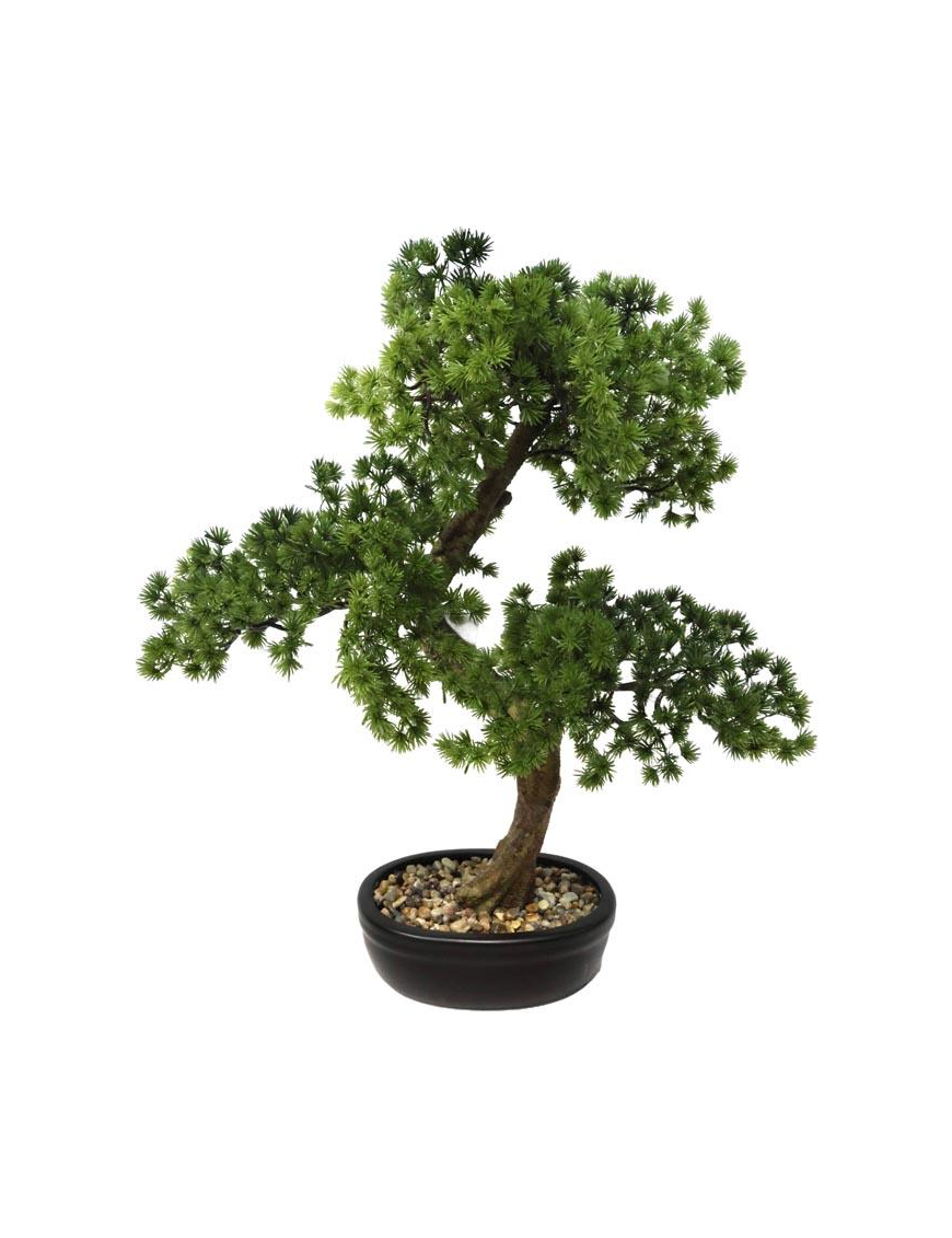 PIANTA G. BONSAI PEACEFUL 49cm 62787