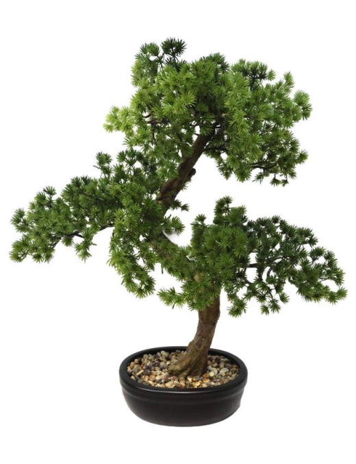 PIANTA G. BONSAI PEACEFUL 49cm 62787