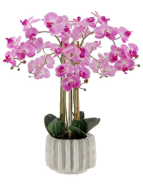 PIANTA G. ORCHIDEA REAL VIOLA 76cm 62776