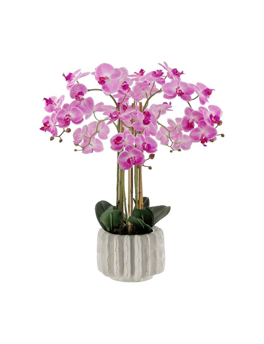 PIANTA G. ORCHIDEA REAL VIOLA 76cm 62776