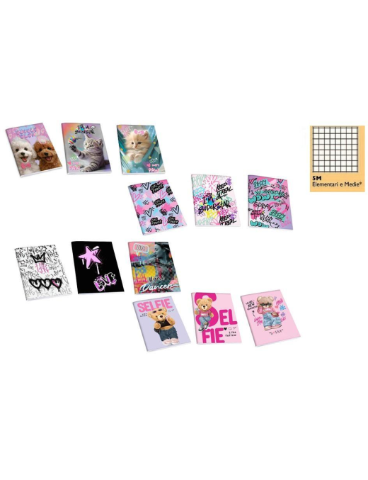 QUADERNO MAXI RAGAZZA 20fg 80gr 5MM