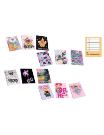 MAXI GIRL'S NOTEBOOK 20 sheets 80gr C