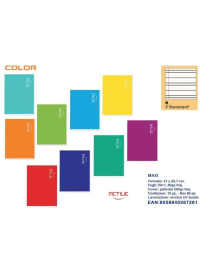 QUADERNO MAXI COLOR 20fg 80gr B