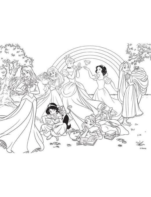 PUZZLE 108 PIECES PRINCESS MAXI