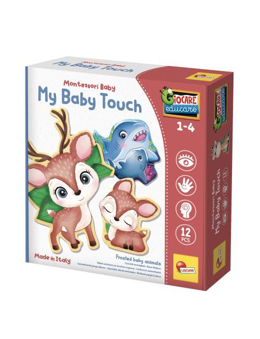 MONTESSORI BABY TOUCH CARDS