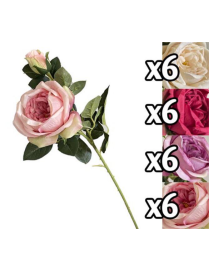 STELO ROSA+BOCCIOLI 66 CENTIMETRI