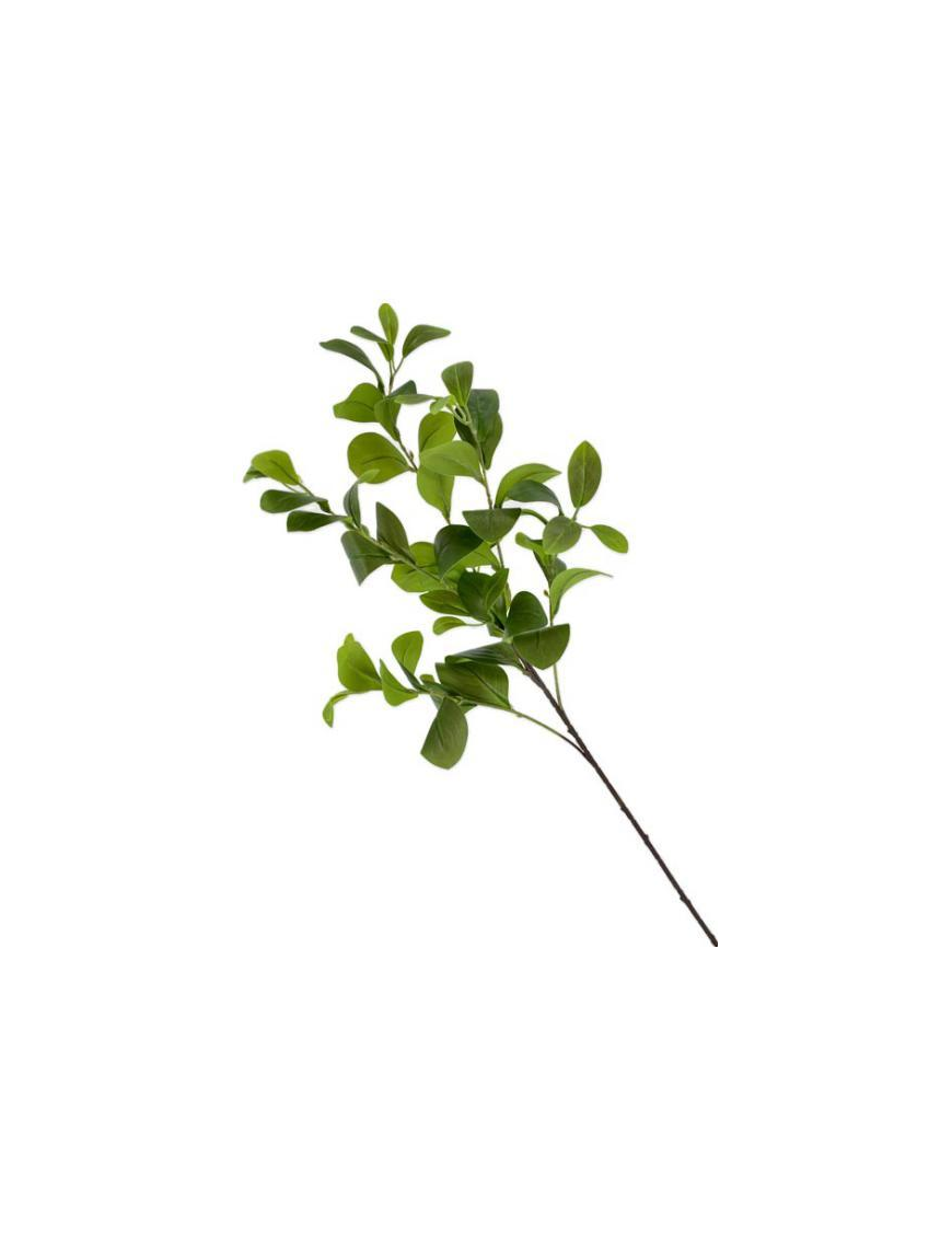STELO  LUNGO NATURALE 90cm