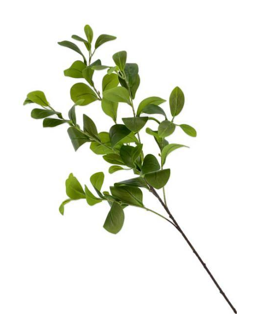 STELO  LUNGO NATURALE 90cm