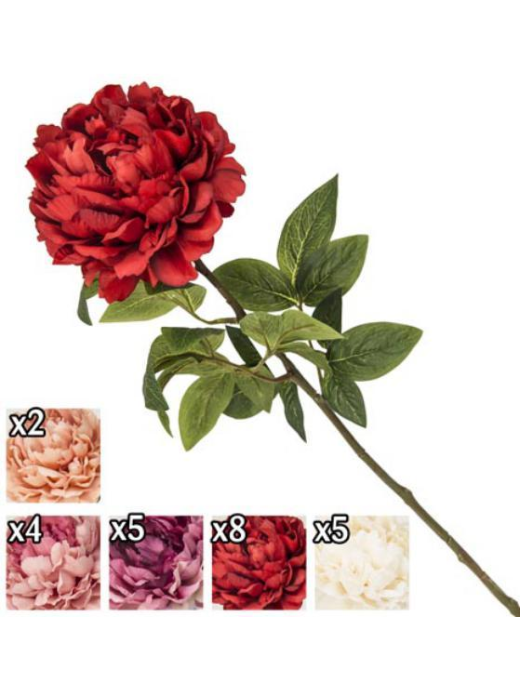 STELO PEONIA 72 CENTIMETRI