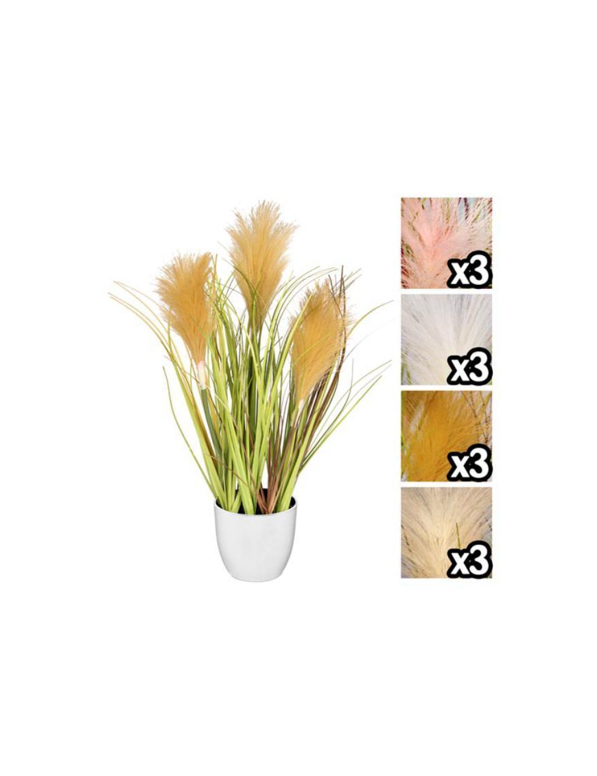 PAMPAS PLANT