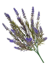 STELO PORTA MAZZETTO LAVANDA 33 CENTIMETRI