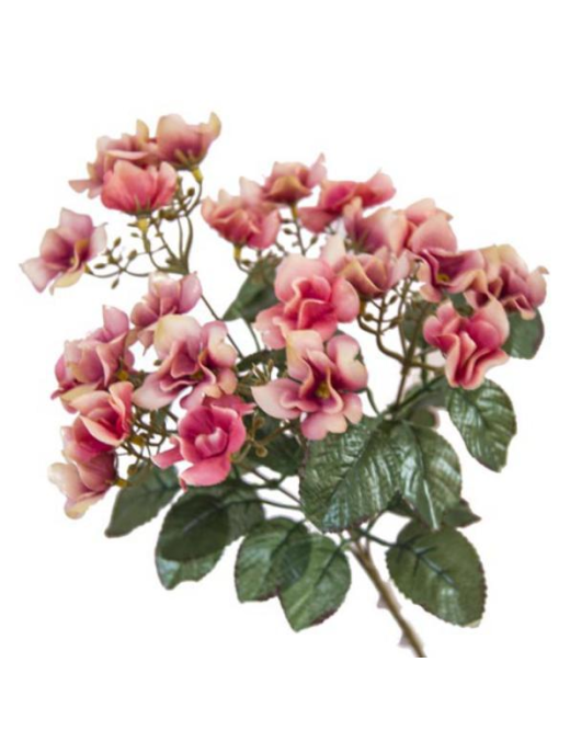 HYDRANGEA BOUQUET