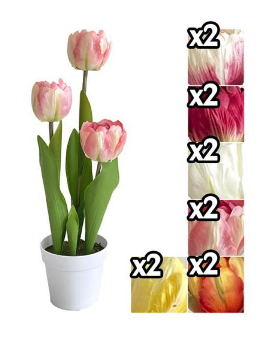 TULIPS PLANT 34 CENTIMETERS
