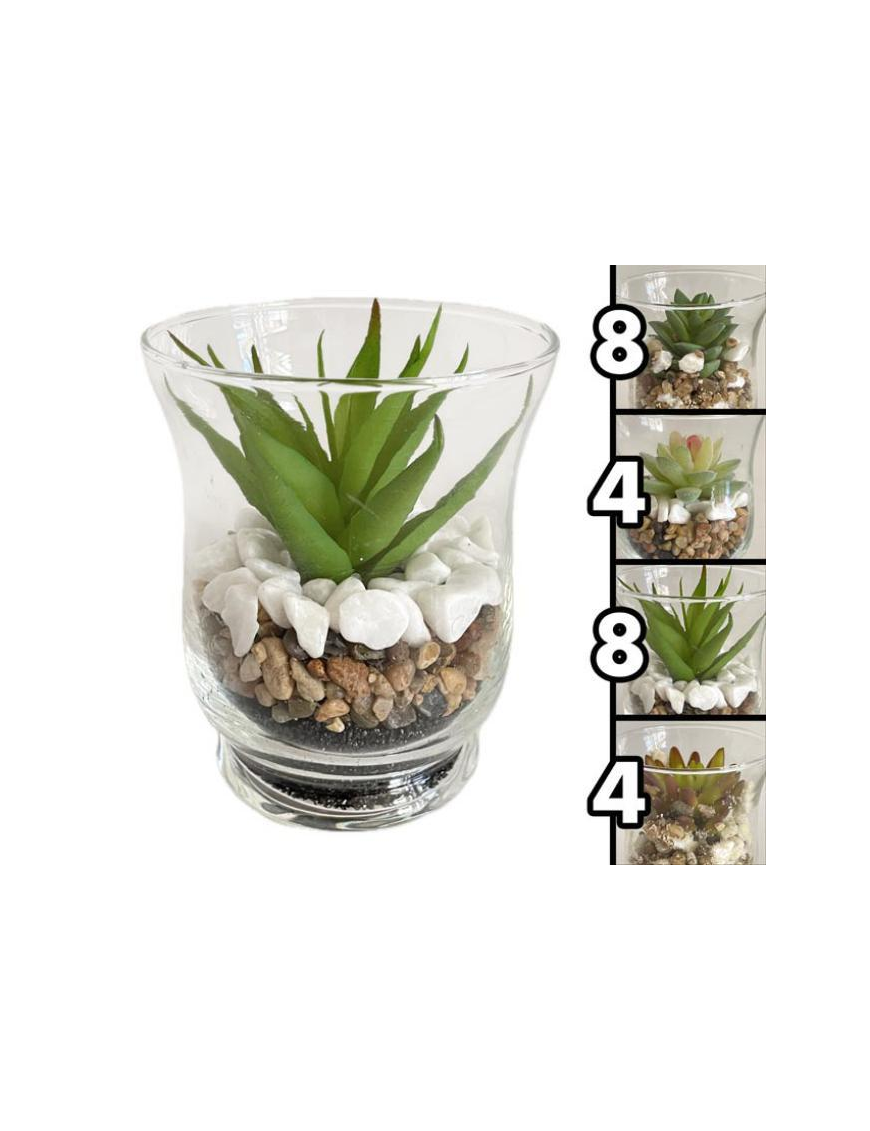 SUCCULENT PLANT GLASS VASE 9x11cm