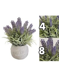 PIANTA LAVANDA 21cm