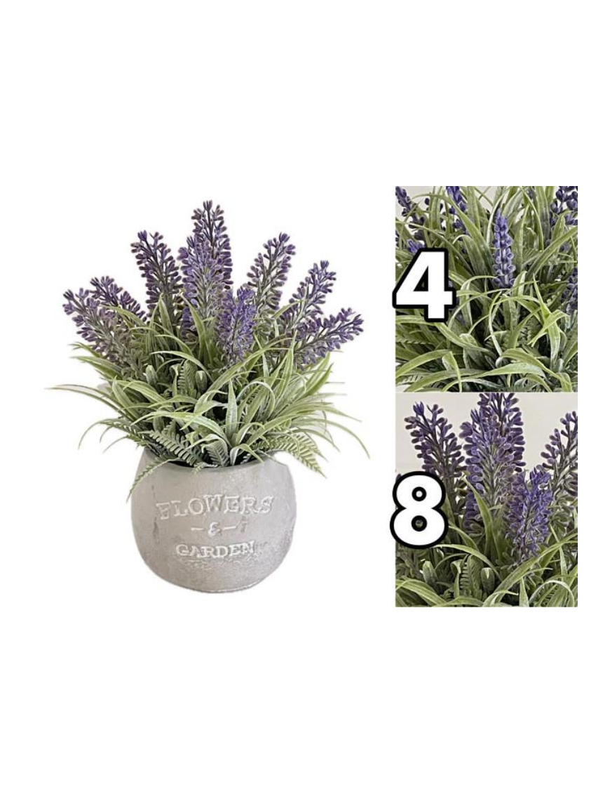 PIANTA LAVANDA 21cm