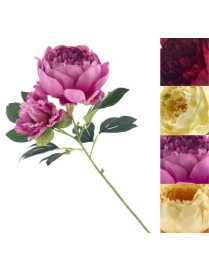 STELO   PEONIA CABBAGE 66cm