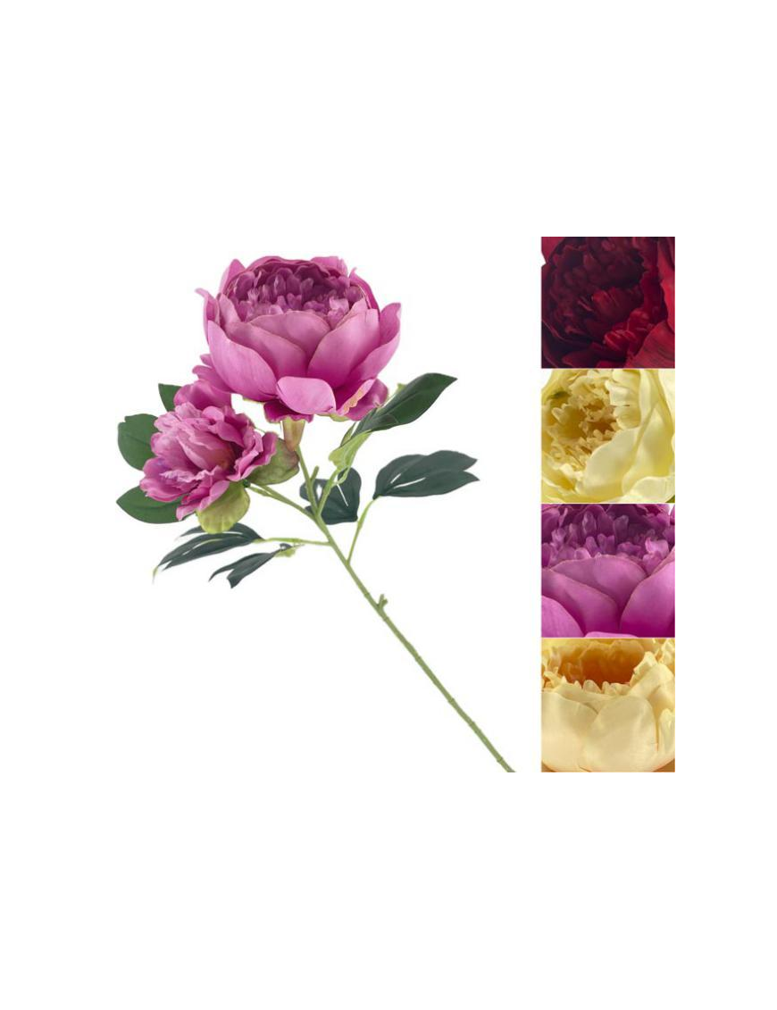 STELO   PEONIA CABBAGE 66cm