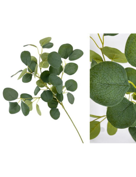 STELO VERDE 61cm
