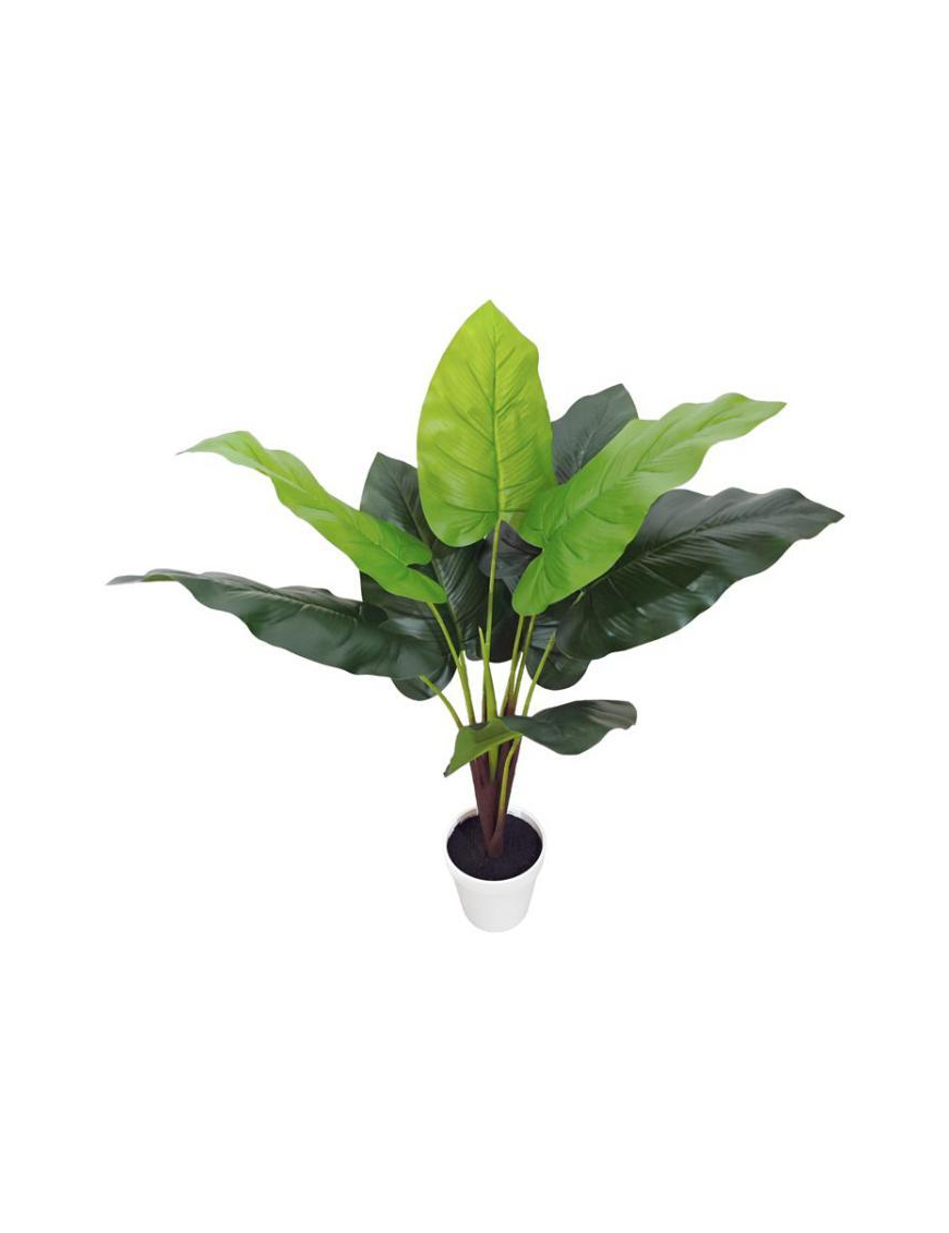 Tropical Plain Succulent Plant 75cm