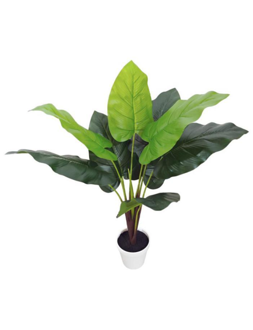 PIANTA GRASSA TROPICAL PLAIN 75cm