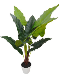 PIANTA GRASSA TROPICAL PLAIN 75cm