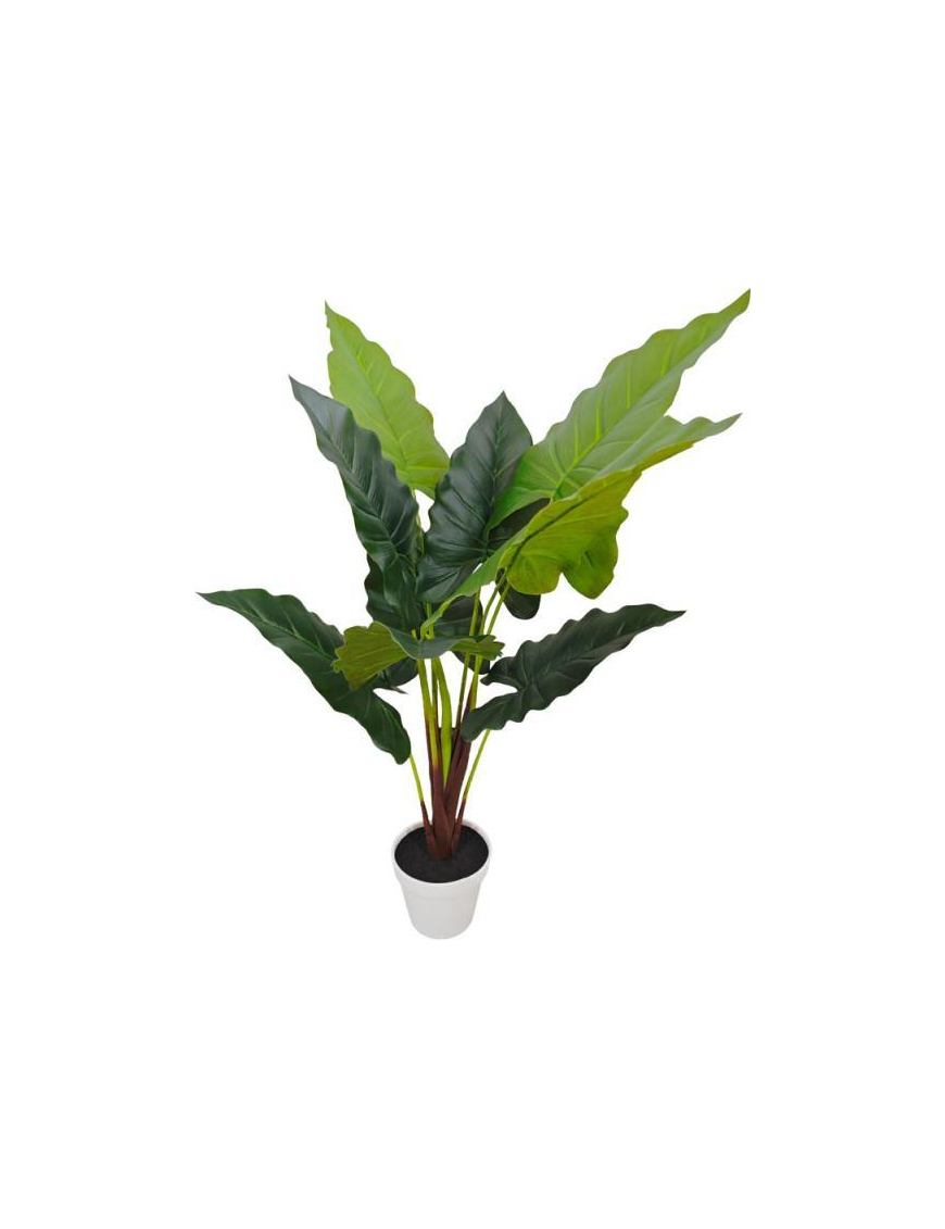 Tropical Plain Succulent Plant 75cm