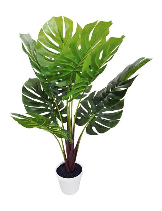 PIANTA GRASSA TROPICAL MONSTERA 75cm