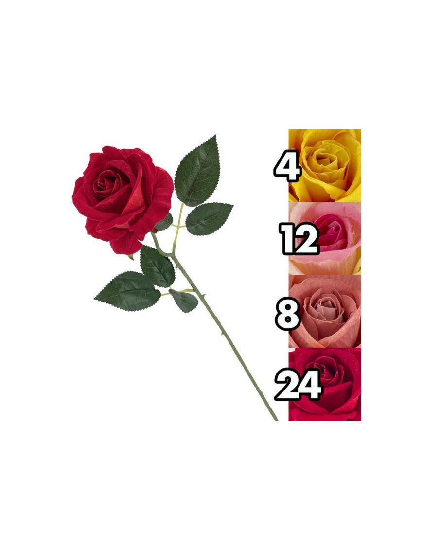 STELO ROSA ESSENCE 50cm