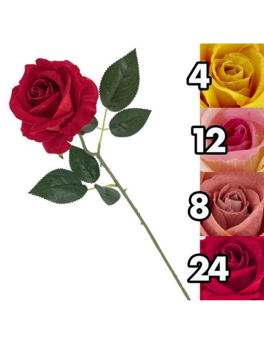 STELO ROSA ESSENCE 50cm