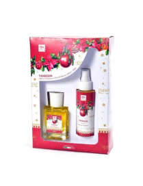 XMAS DREAM SPRAY+DIFFUSORE AMBIENTE 100 MILLILITRI VANIGLIA