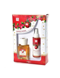 XMAS DREAM SPRAY+DIFFUSORE AMBIENTE 100 MILLILITRI SOFFICE