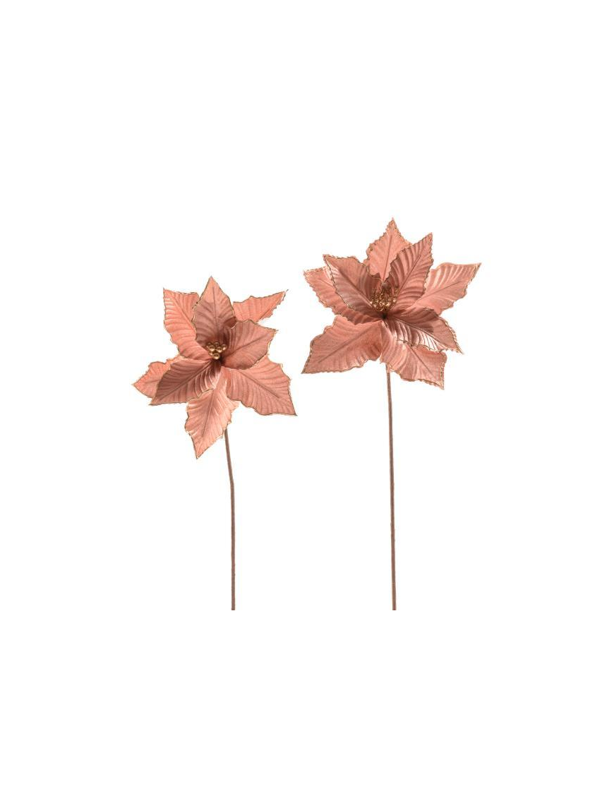 STELLA DI NATALE 28x55 CENTIMETRI ROSE'