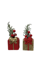 PLANT WITH GIFT PACKAGE 6x6x8cm