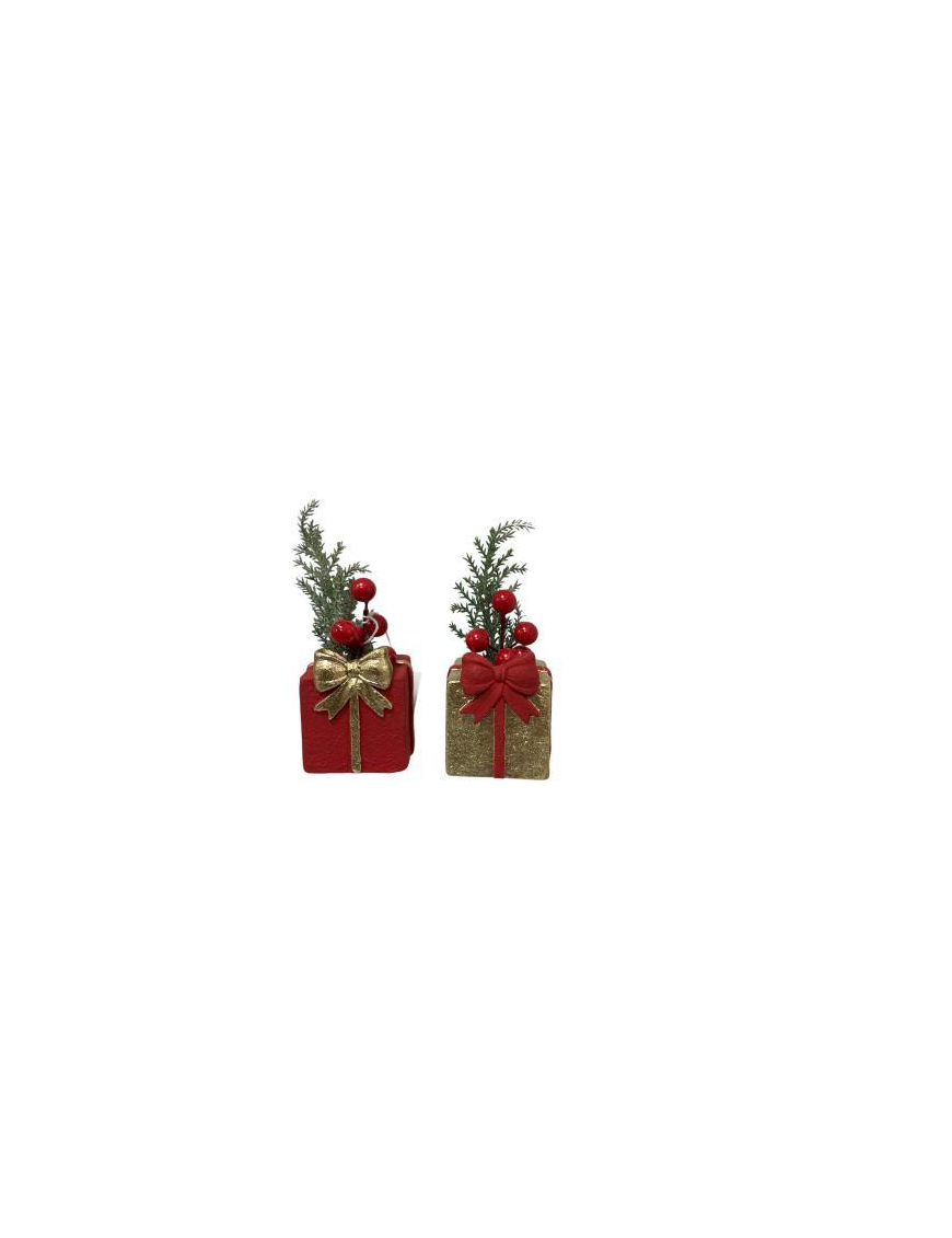 PIANTINA CON PACCO REGALO  6x6x8cm
