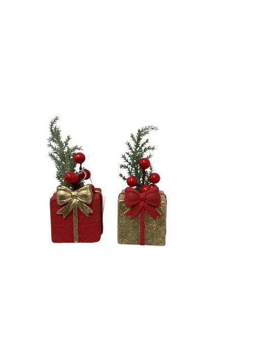 PIANTINA CON PACCO REGALO  6x6x8cm