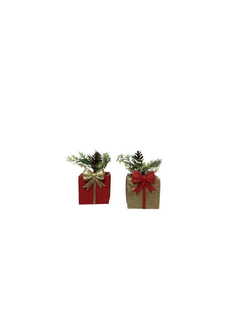 PLANT WITH GIFT PACKAGE 10x9x10cm