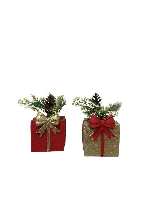 PLANT WITH GIFT PACKAGE 10x9x10cm